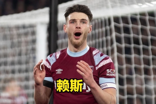 賴斯屬于什么是類型的后腰？